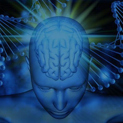 Psychological, Social, Educational and Human Development Sciences